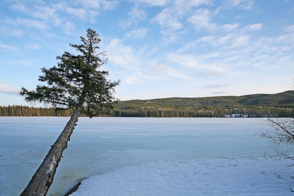 Lac Le Jeune Wilderness Resort Kamloops Eksteriør bilde